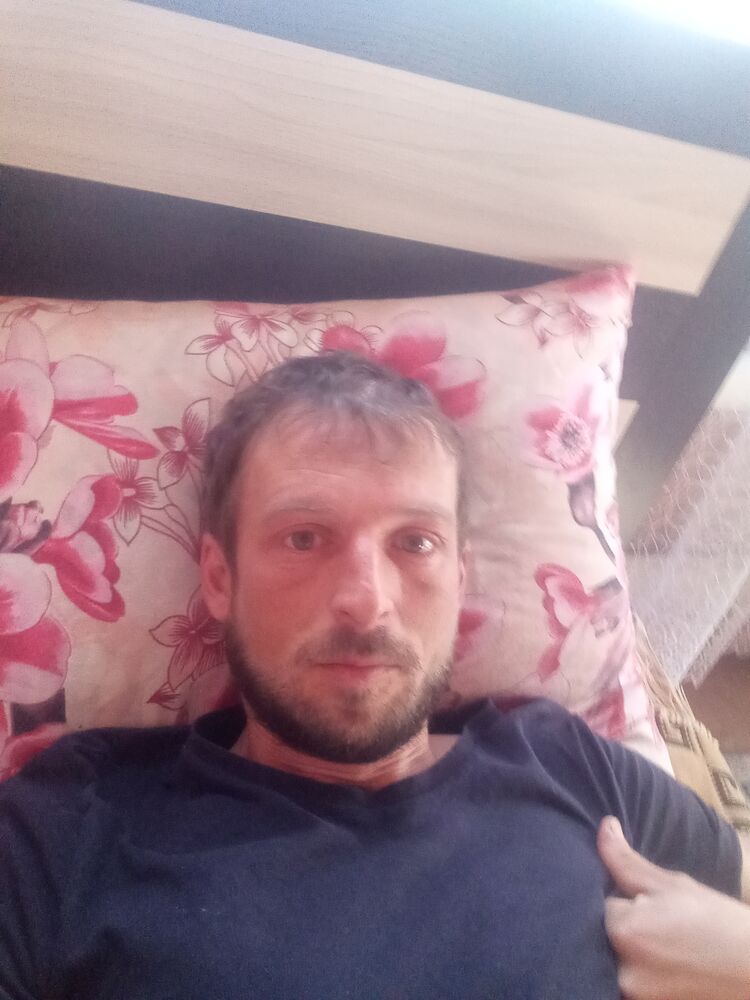 43054472  , 33 ,    