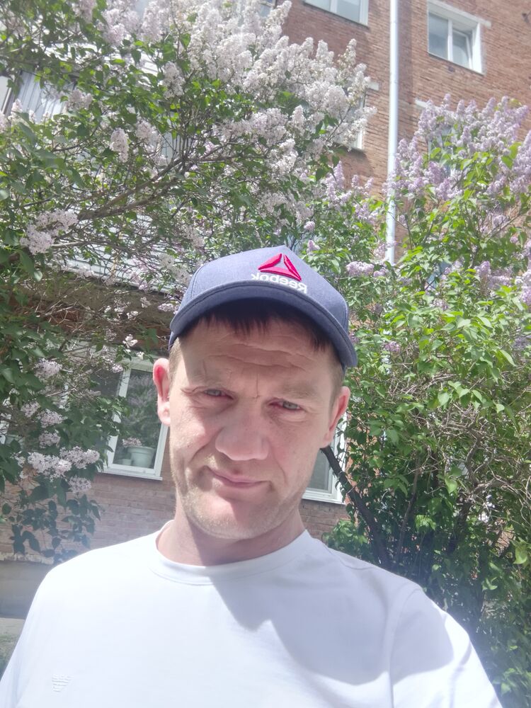  53862032  , 37 ,    --