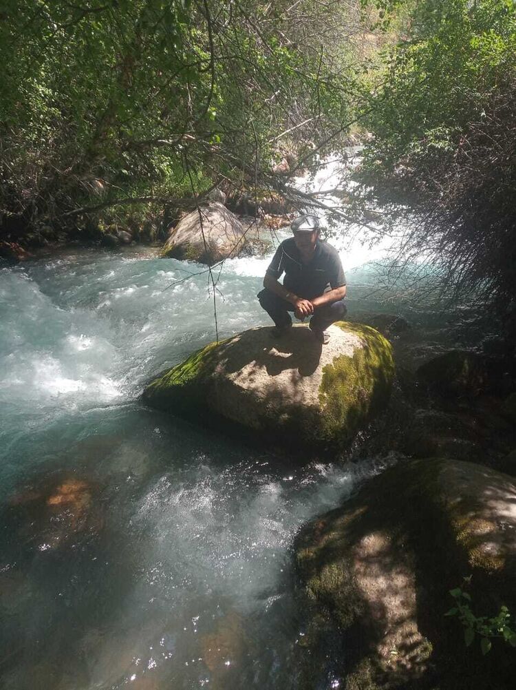 ���������� ������, ���� ������� �����, 52 ����, ������������ ��� ������, ����� � ���������