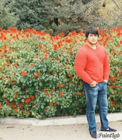 ���������� ������, ���� ������� ����, 36 ���, ������������ ��� ����� � ���������, c�������� ���������