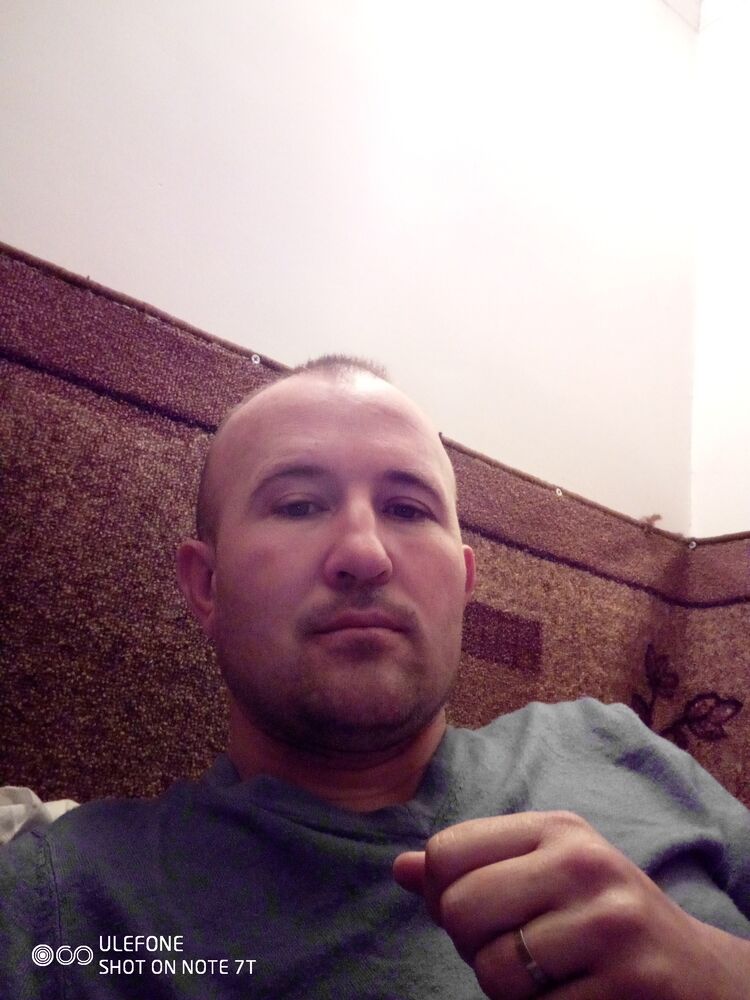  34130142  Vitalic, 33 ,    