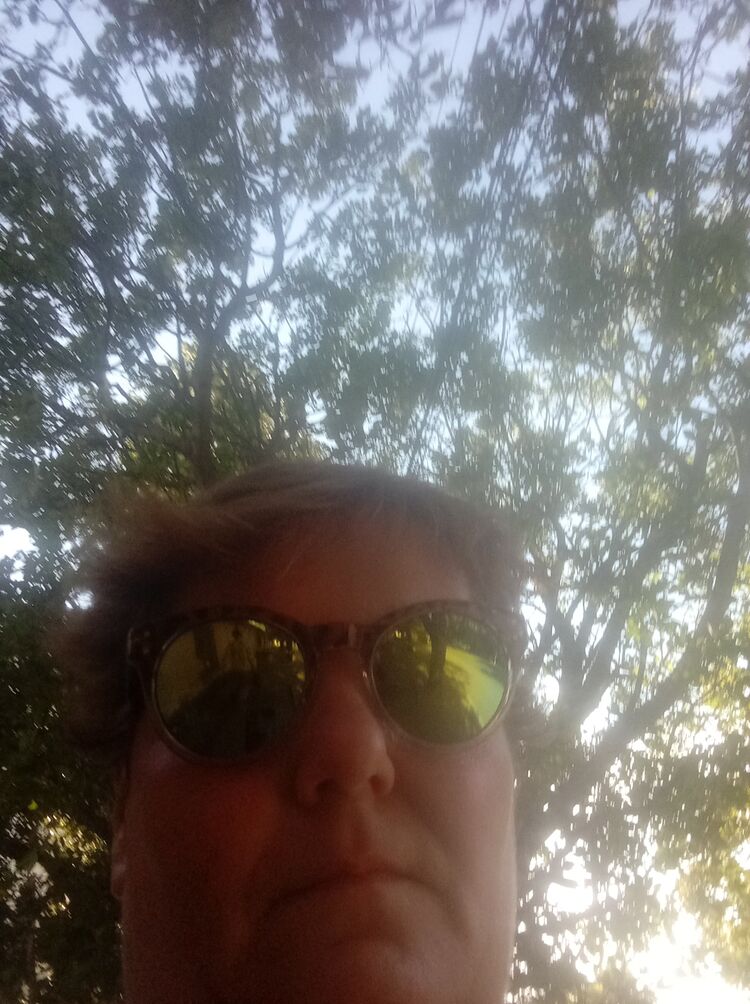 ���������� �����������, ���� ������� ���������, 47 ���, ������������ ��� ������, ����� � ���������, c�������� ���������