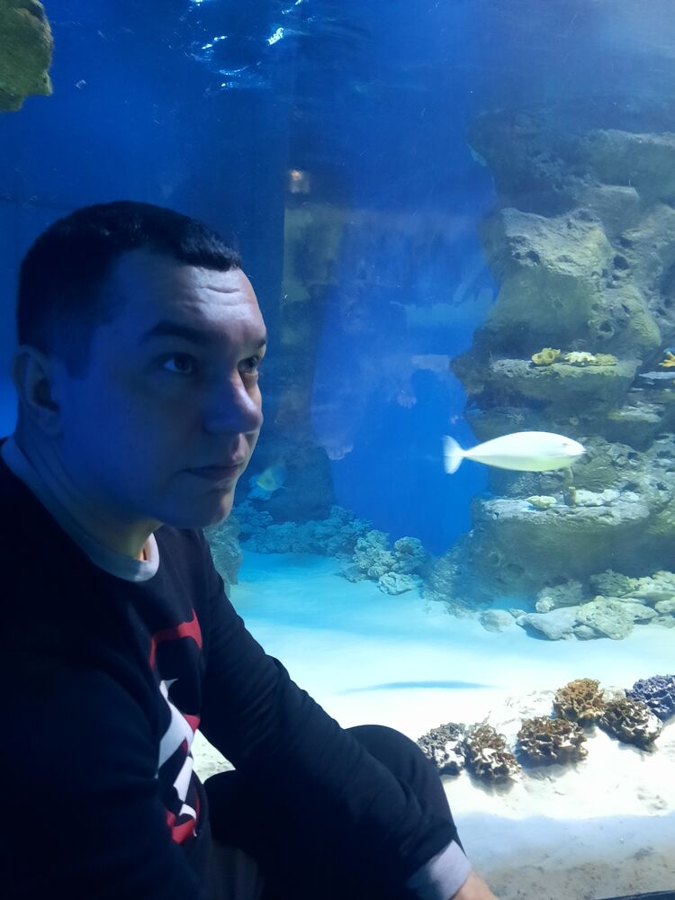 ���� 23110322 ������� ���, 41 ���, ���� ���������� � ������������