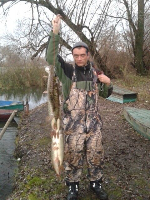 ���� 15942312 ������� ������, 42 ����, ���� ���������� � �����