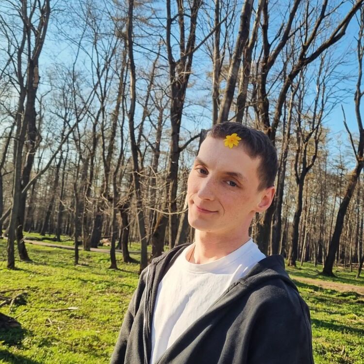  53763222  , 24 ,     