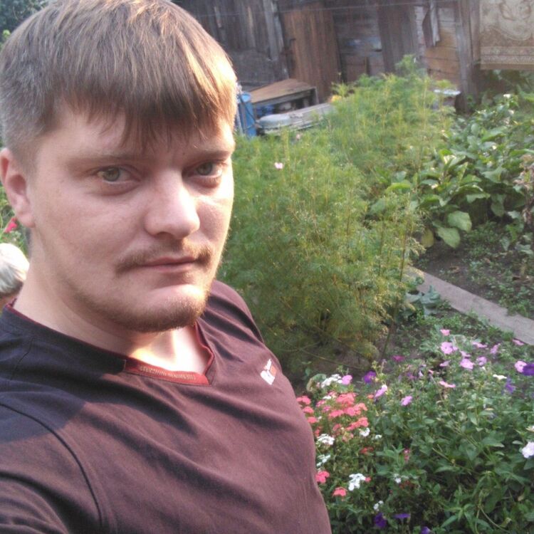 ���� 17036132 ������� �������, 35 ���, ���� ���������� � ����������