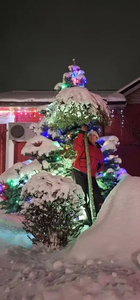 ���������� ��������, ���� ������� �����, 59 ���, ������������ ��� ����� � ���������, c�������� ���������