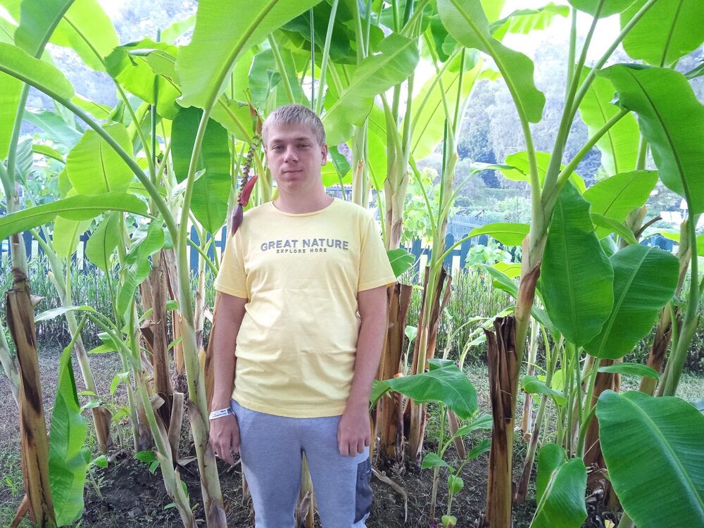 ���������� ������, ���� ������� �������, 27 ���, ������������ ��� ������, ����� � ���������, c�������� ���������, ���������