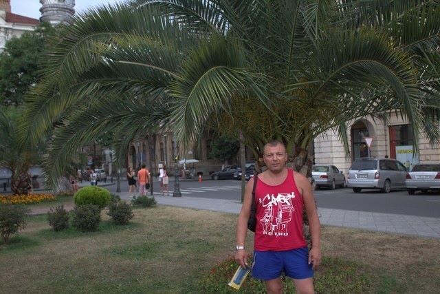  ,   , 53 ,   ,   , c 
