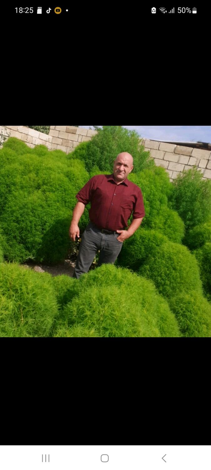 ���������� ������, ���� ������� �����, 51 ���, ������������ ��� ������, c�������� ���������