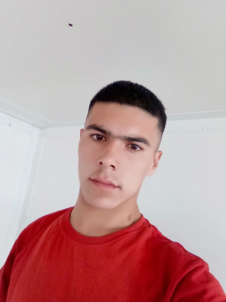  13380982  , 29 ,    