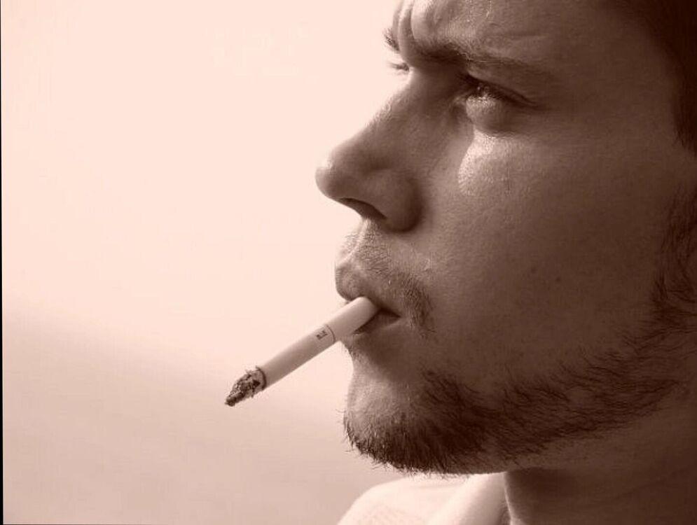 ���� 55926412 ������� �������, 38 ���, ���� ���������� � ����������