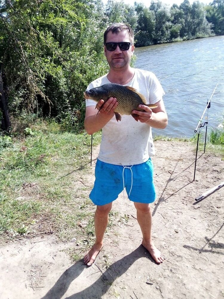 ���� 25704782 ������� �������, 33 ����, ���� ���������� � ������