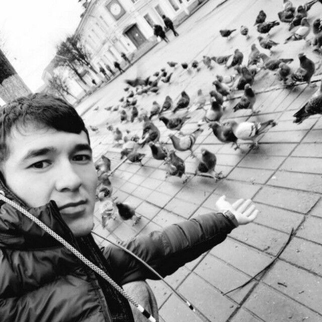 ���� 19480762 ������� Waxob, 29 ���, ���� ���������� � �����-����������