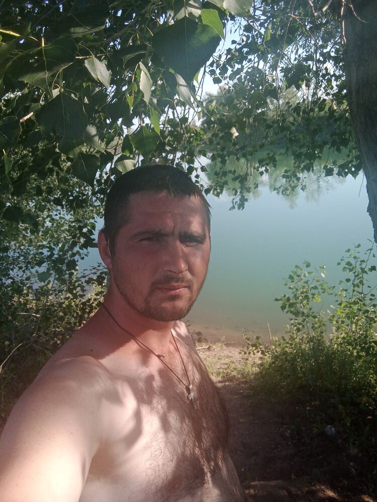  31288952  , 29 ,    