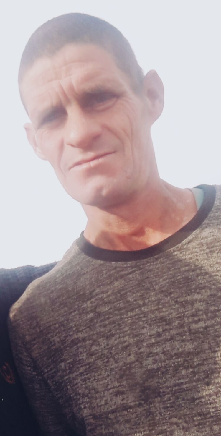  33185852  , 43 ,    