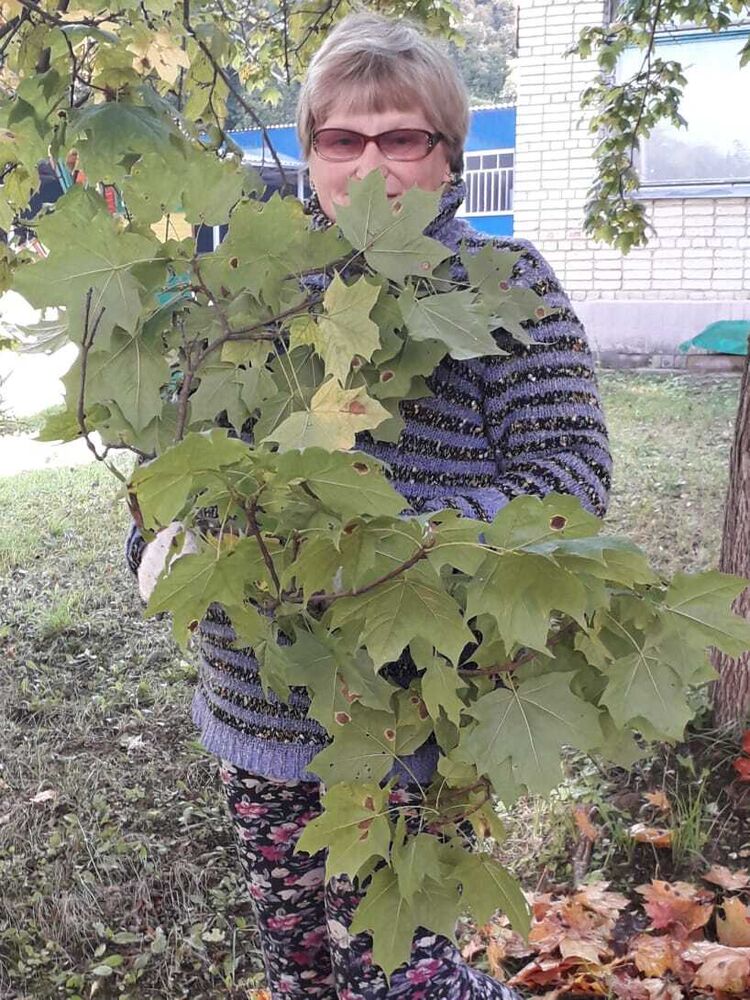  ,   , 65 ,   ,   