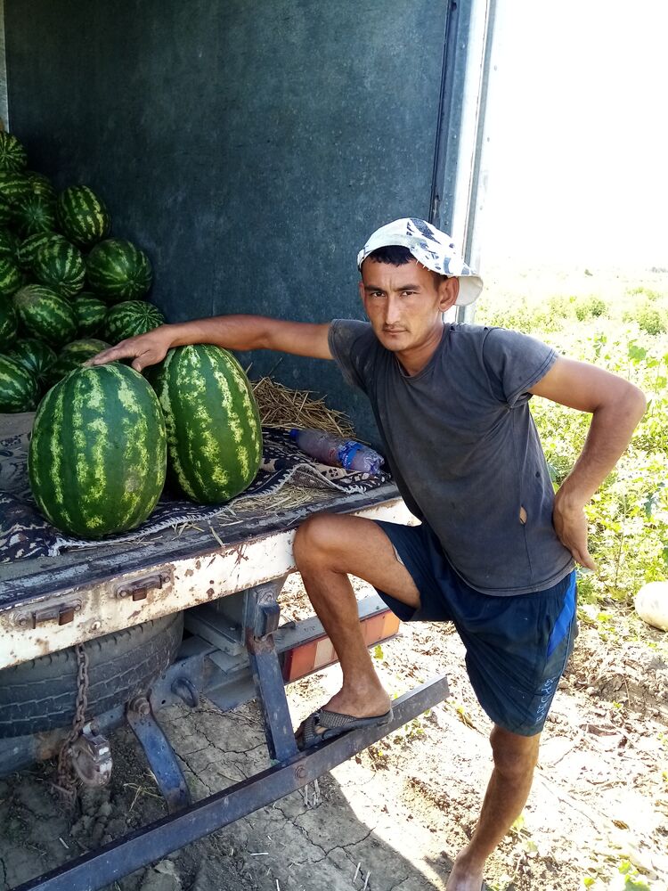 ���� 24449622 ������� �������, 37 ���, ���� ���������� � ������