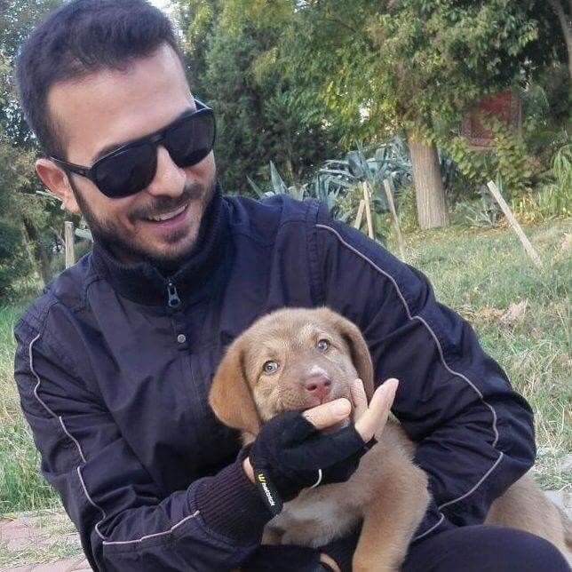 ���� 15983302 ������� �����, 33 ����, ���� ���������� � ������