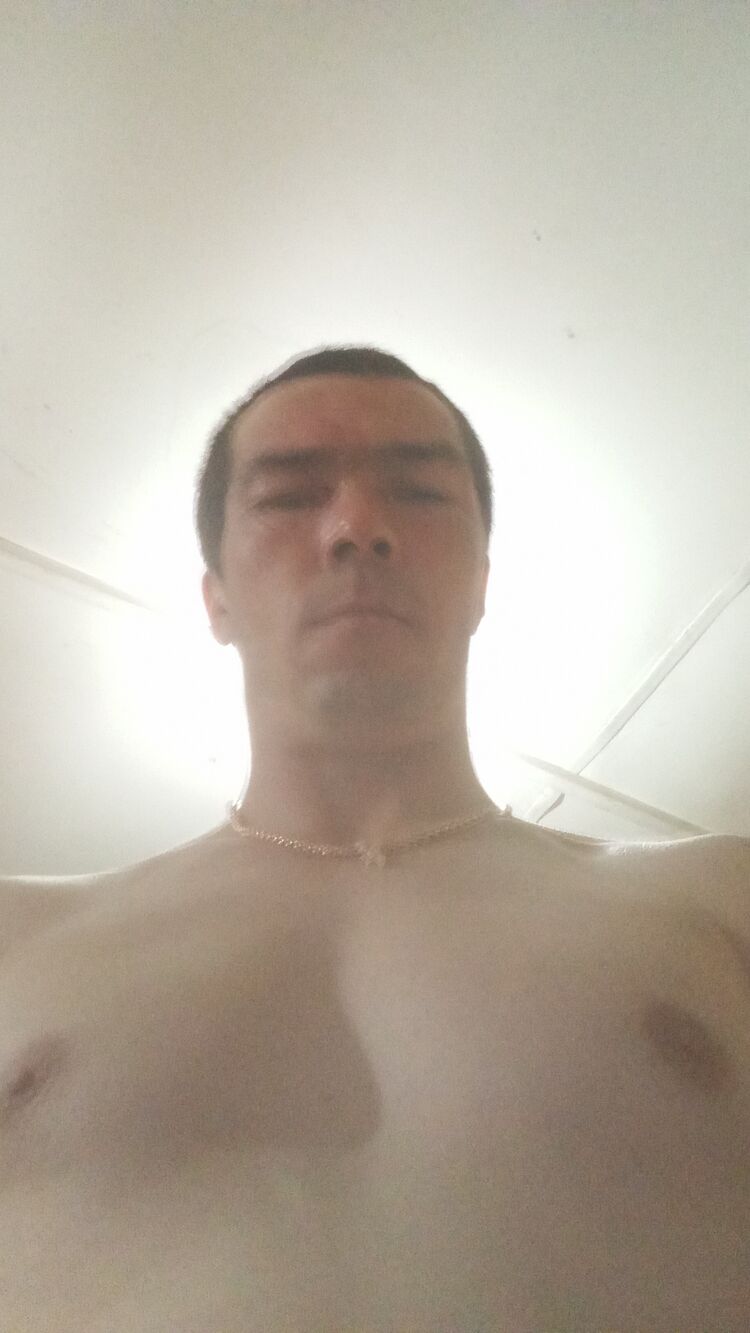  49775102  , 33 ,    