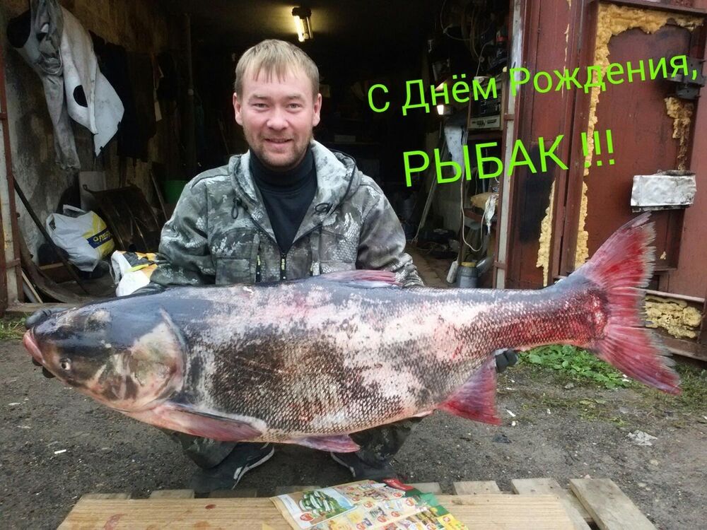  8448692  , 40 ,    --