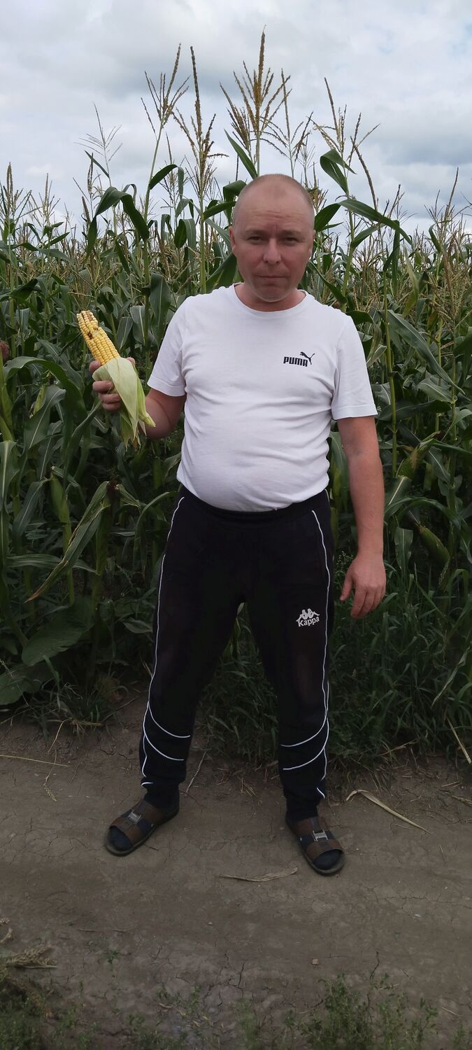  38640992  , 40 ,    
