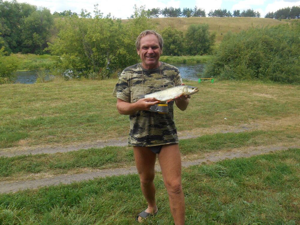 ���� 24596642 ������� ���������, 64 ����, ���� ���������� � ������