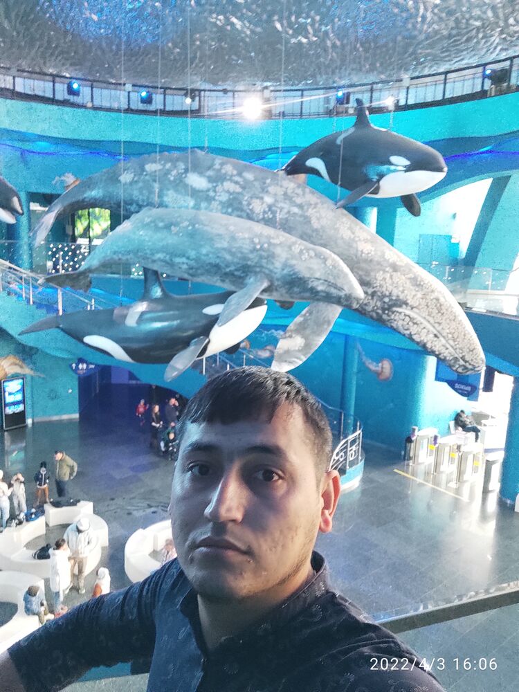  27054732  LAZIZ, 32 ,    