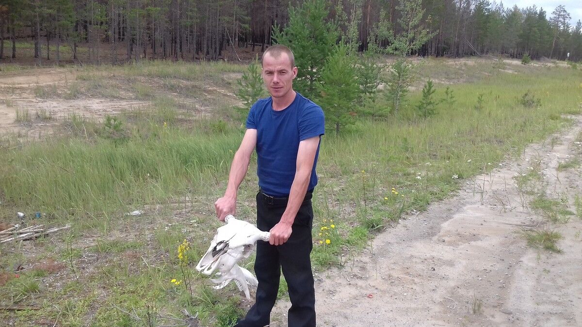 ���� 11881912 ������� ������, 39 ���, ���� ���������� � ������