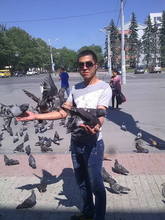  -,   Joker, 33 ,   