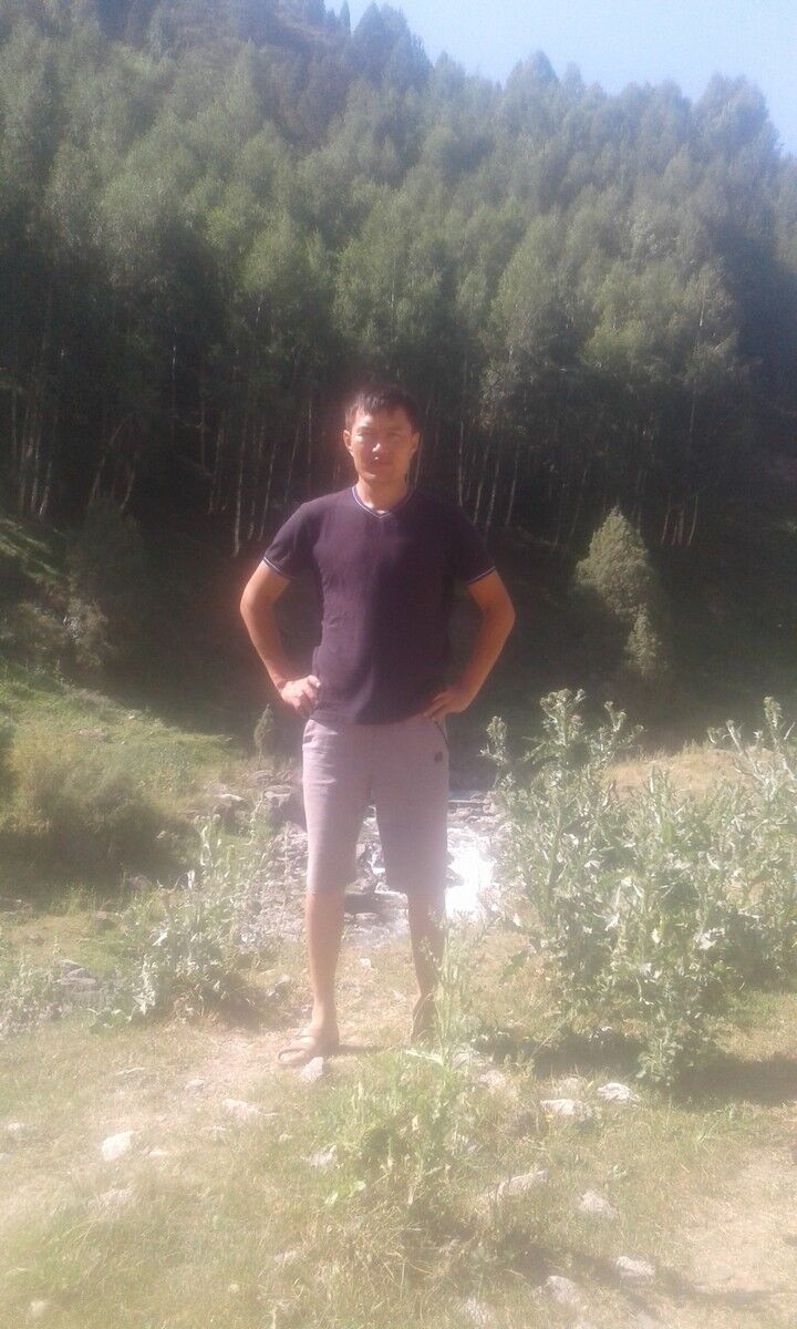  -,   , 37 ,   