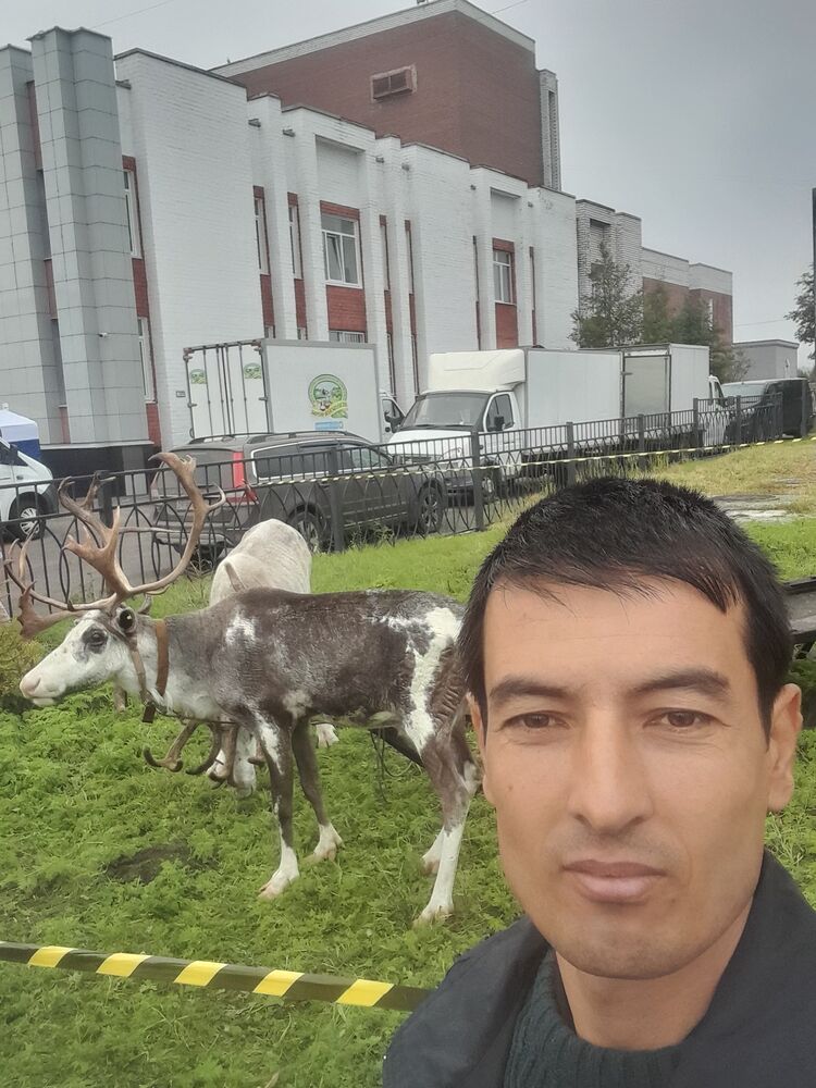 ���������� ��������, ���� ������� �������, 37 ���, ������������ ��� ������, ����� � ���������