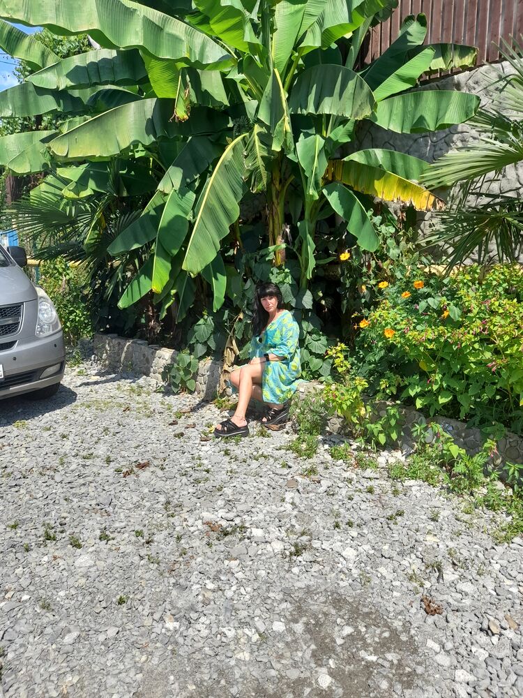 ���������� ���������, ���� ������� �����, 43 ����, ������������ ��� ������, ����� � ���������