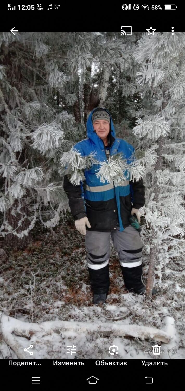 ���������� ����, ���� ������� ���������, 46 ���, ������������ ��� ������