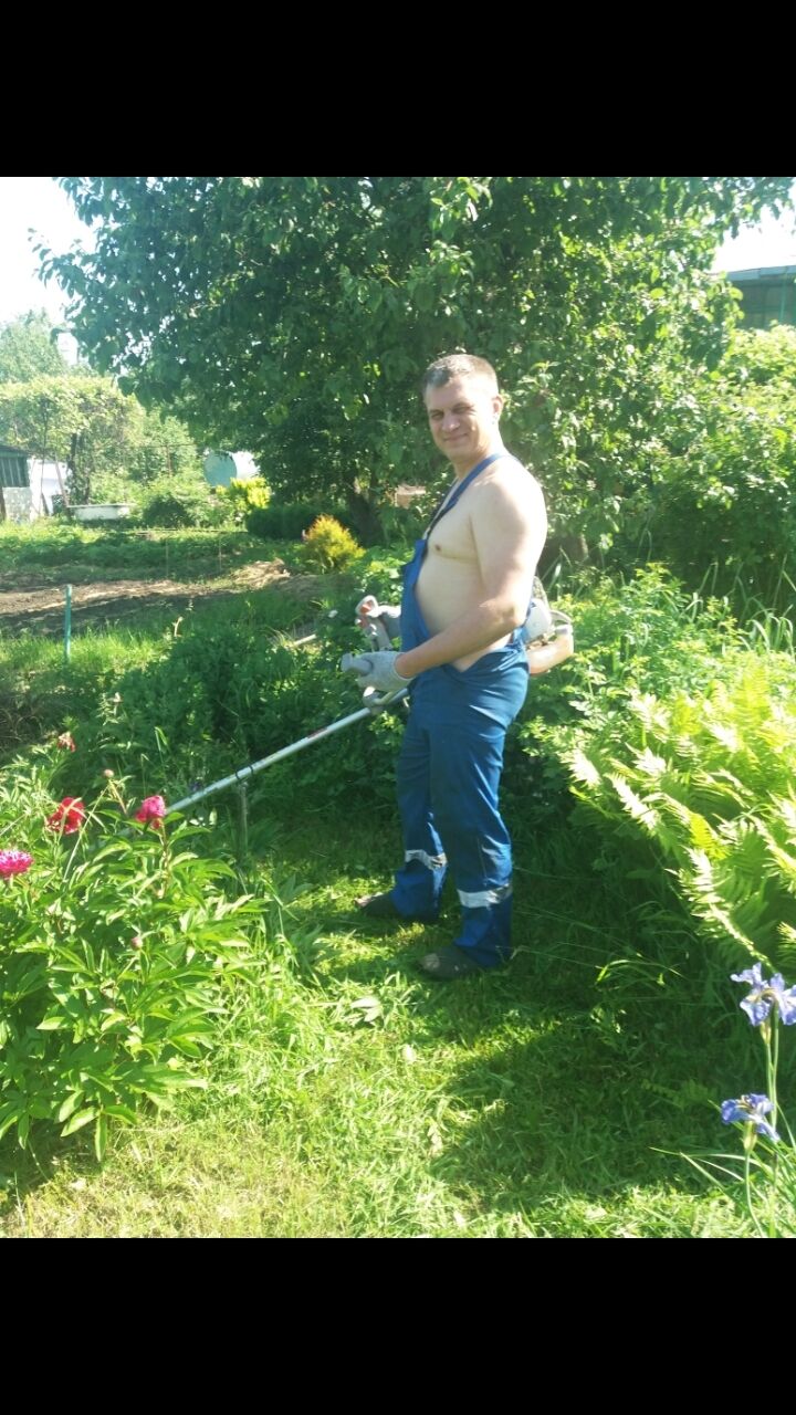 ���������� ������, ���� ������� ����, 49 ���, ������������ ��� ������, ����� � ���������