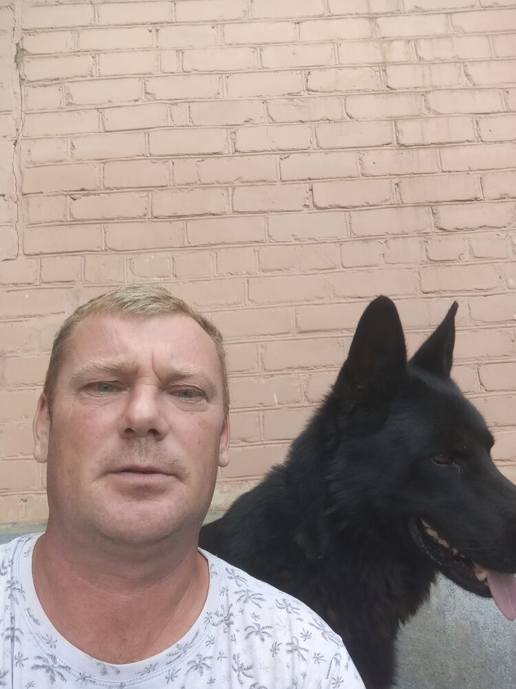 ���� 52652972 ������� �����, 40 ���, ���� ���������� � �������