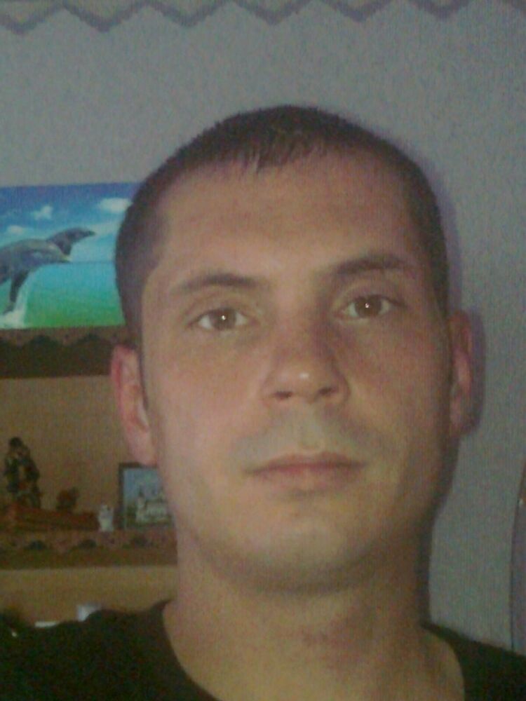 ���� 9131542 ������� �������, 38 ���, ���� ���������� � ����