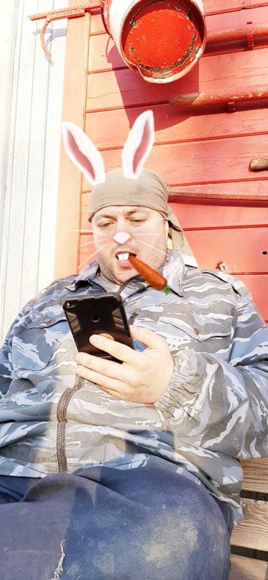 ���� 17482042 ������� �������, 51 ���, ���� ���������� � ����������