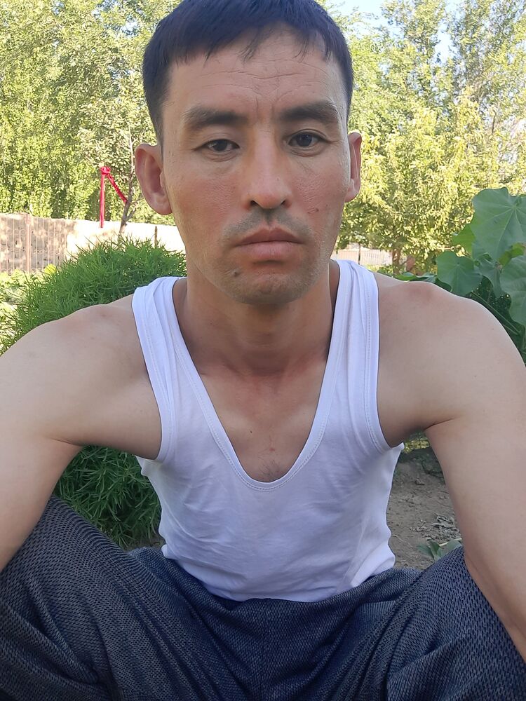  23253612  , 36 ,     