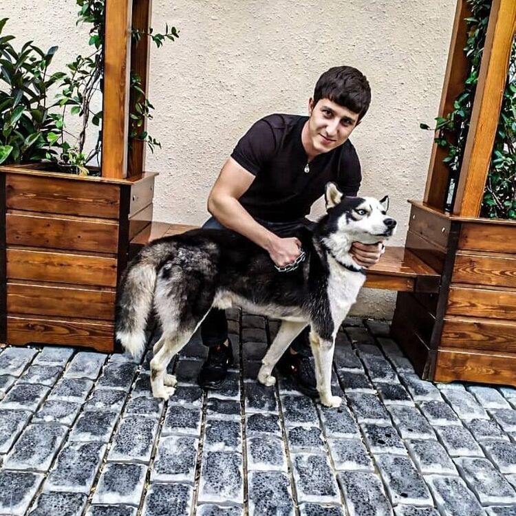 ���� 28623762 ������� ������, 28 ���, ���� ���������� � ����