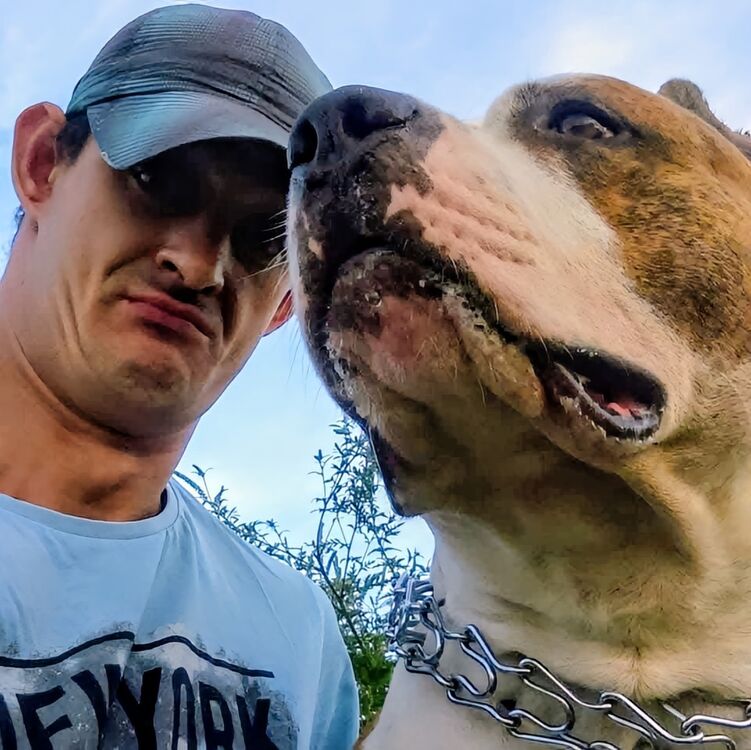 ���� 55369682 ������� Huawei, 39 ���, ���� ���������� � �����