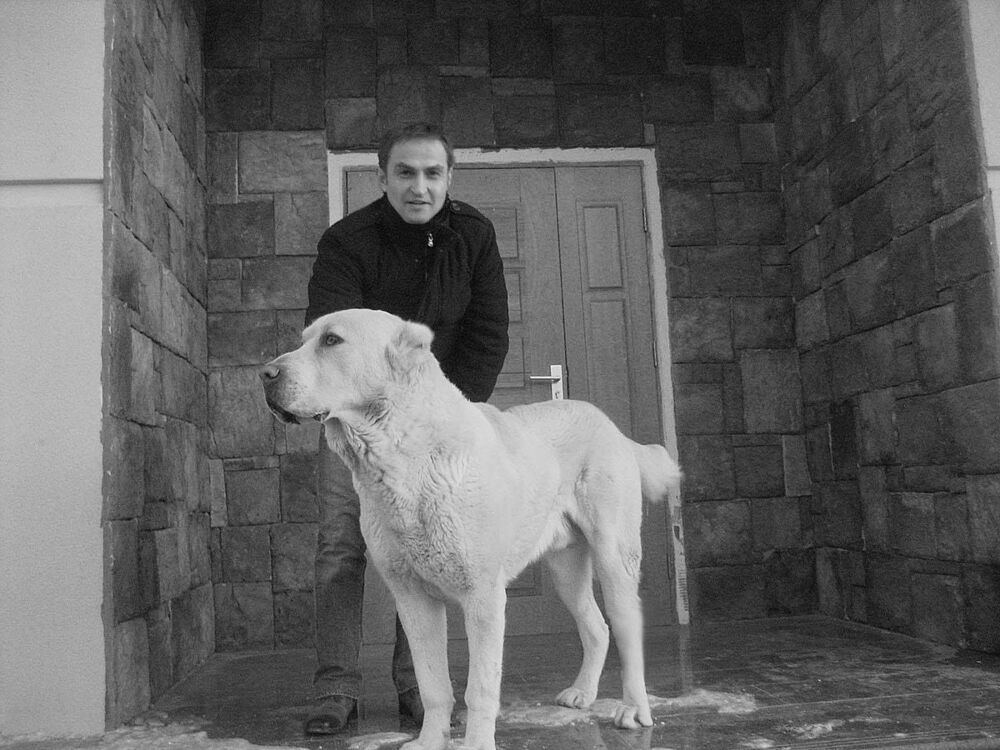 ���� 7225142 ������� Scv, 54 ����, ���� ���������� � ������