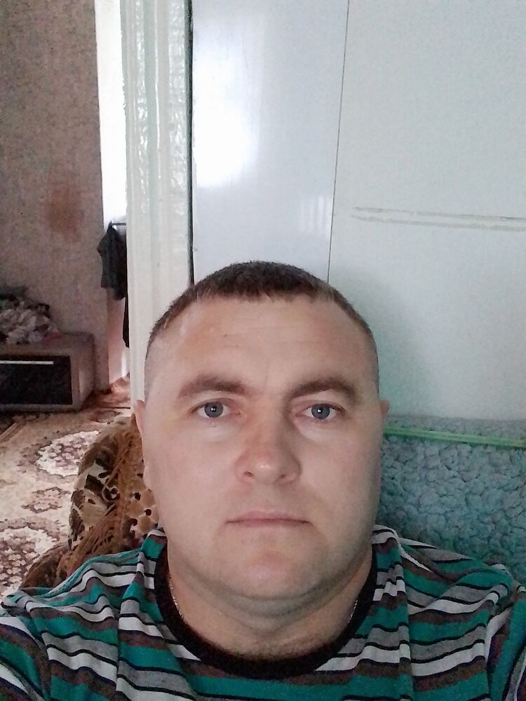 49290302  , 40 ,    