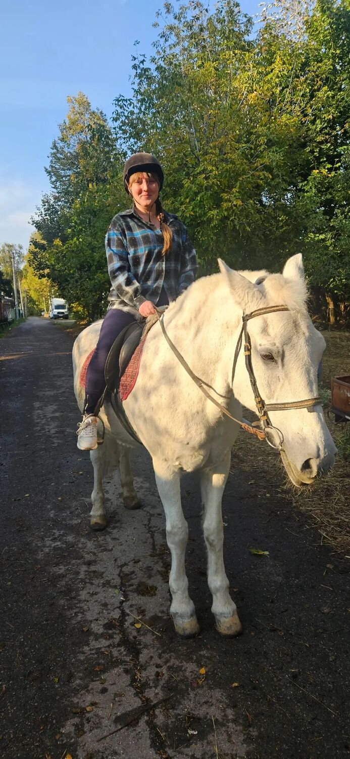 ���������� ������������, ���� ������� ���������, 35 ���, ������������ ��� c�������� ���������