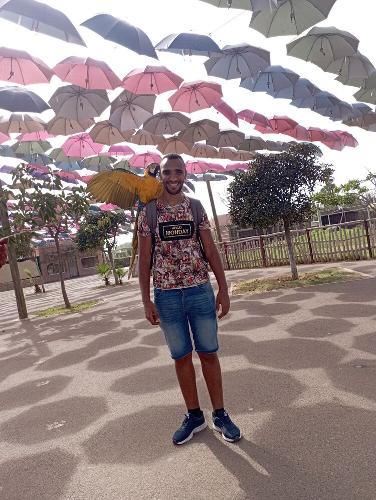 ���������� �����, ���� ������� Mester Brown, 34 ����, ������������ ��� ������, ����� � ���������, c�������� ���������, ���������