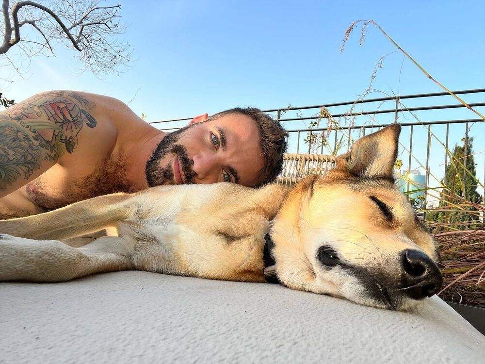 ���� 44237202 ������� ������, 38 ���, ���� ���������� � ����������