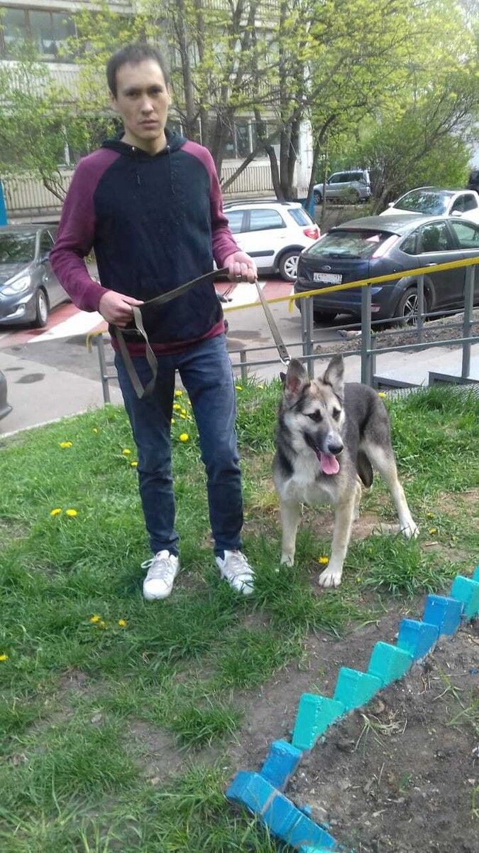 ���������� ������, ���� ������� �����, 33 ����, ������������ ��� ������, ����� � ���������, c�������� ���������