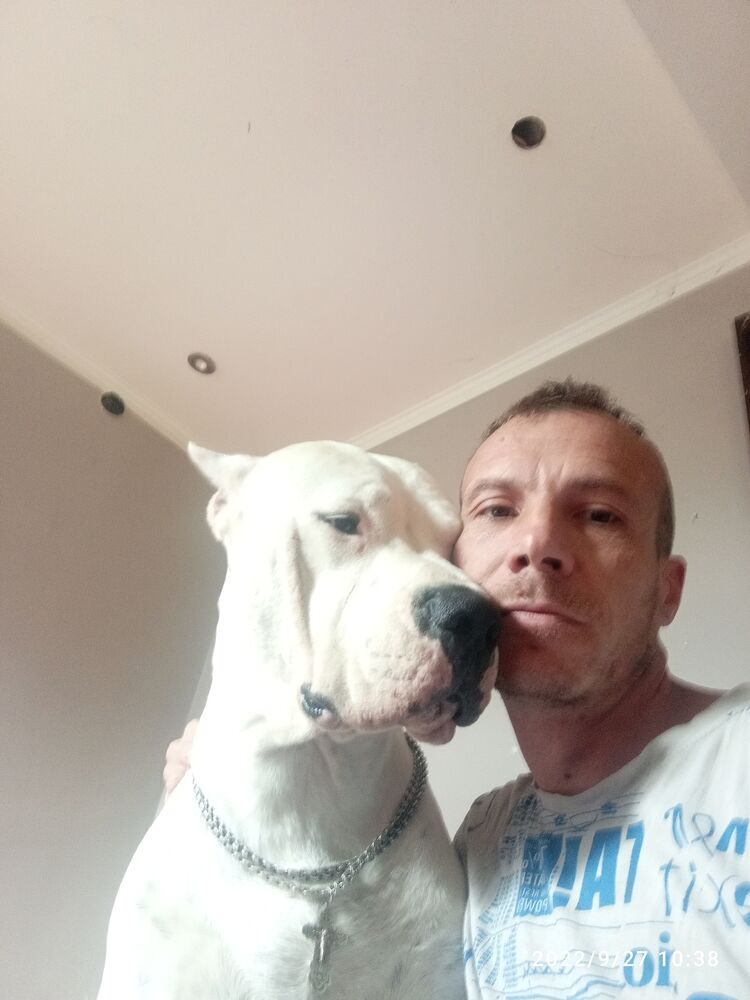  46141762  Nikola, 39 ,    
