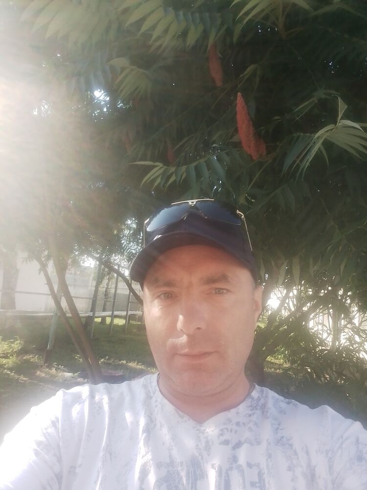  36584522  , 44 ,     