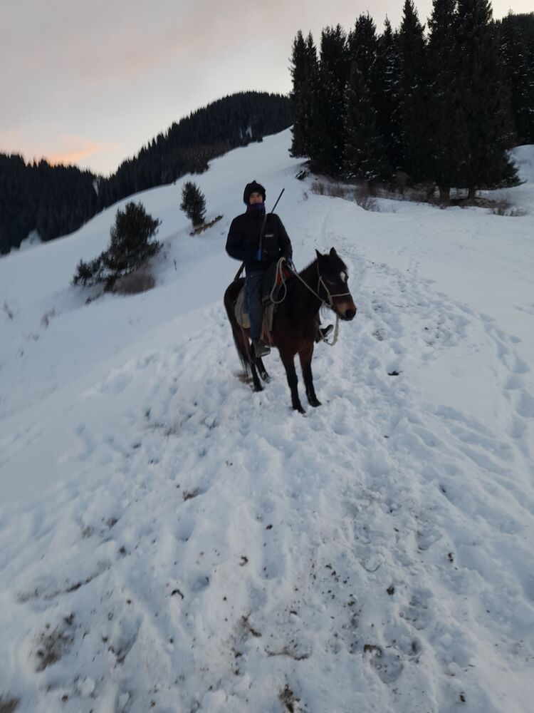 ���� 27350272 ������� ����, 34 ����, ���� ���������� � ������